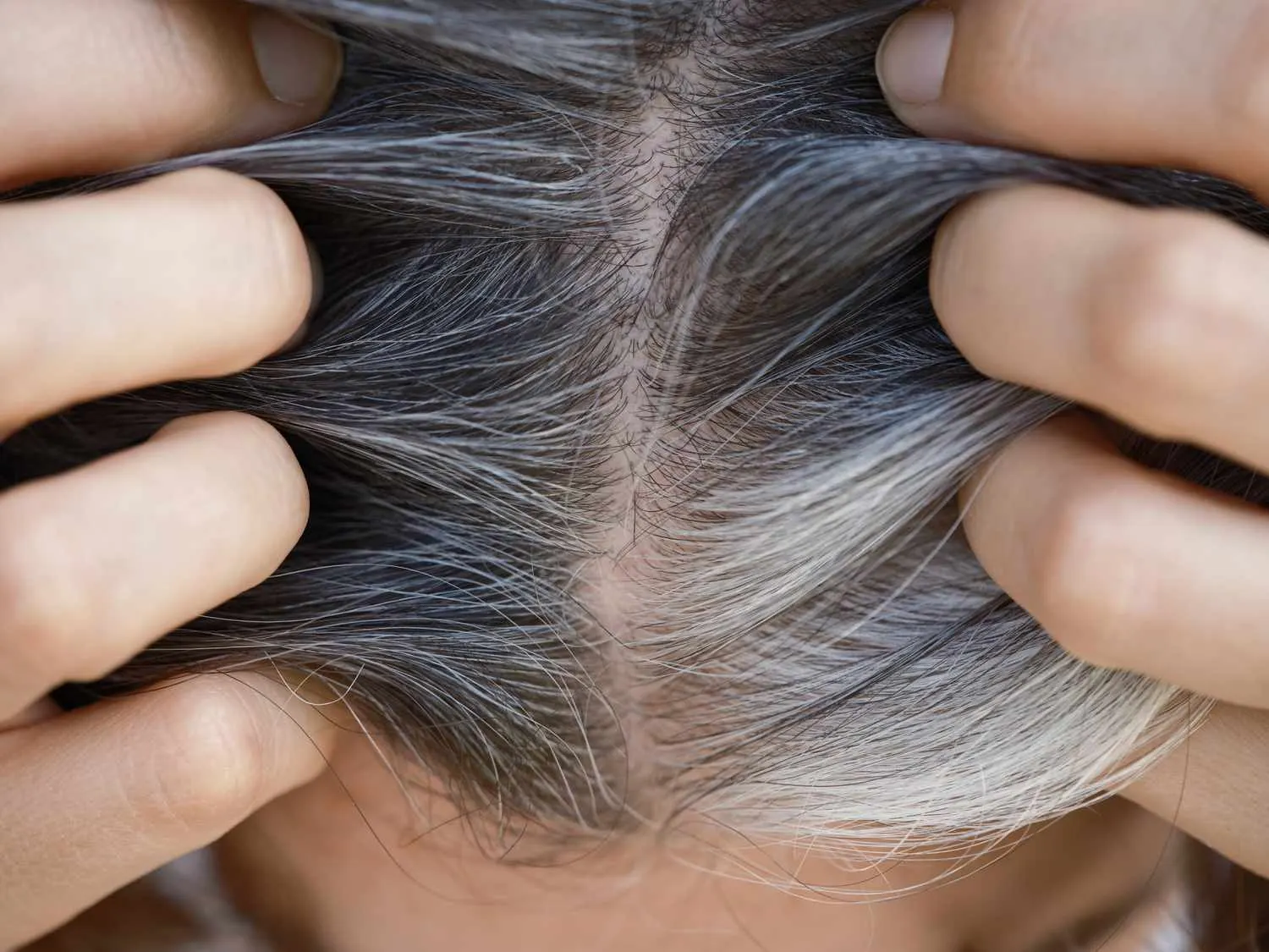 🌿 The Best Natural Gray Coverage Routine in Just Two Steps – No Dyes, Instant Results